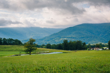 View of a pond and mountains in the rural Potomac Highlands of West Virginia.