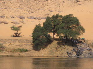 Egypt Various