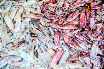 Fresh white and red squid on the counter of a fish shop. Kalutara, Sri Lanka.
