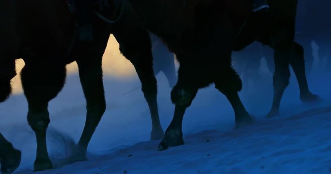 Slow motion of walking camel caravan moving on dusty sand dune of desert