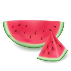 Vector realistic watermelon slice. Juicy and colorful summer fruit. Isolated element on white background. Used meshes