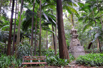 the Trianon Park on the Paulista Avenue, the most popular avenue in Sao Paulo, Brazil