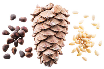 Pine nut cone and pine nuts on the white background. Organic food.
