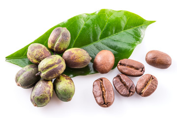 Green coffee beans, roasted beans and fresh coffee leaves .