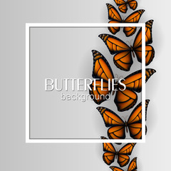 Square white frame banner with colorful butterflies light background.