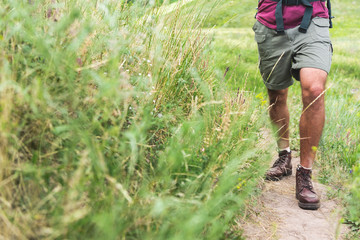 cropped view of tourist walking on path on green field