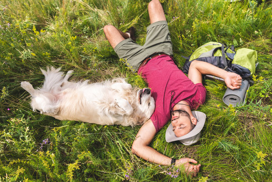 top view of traveler and golden retriever dog lying on green grass with backpack
