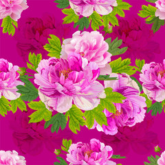 Peonies pink color and leaves on the chocking pink background.  Romantic garden flowers illustration.Seamless pattern