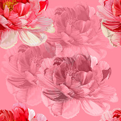 Peonies with green leaves on the pink background.  Romantic garden flowers illustration.