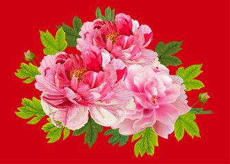 Peonies flral bouquet on red back ground,vector illustration