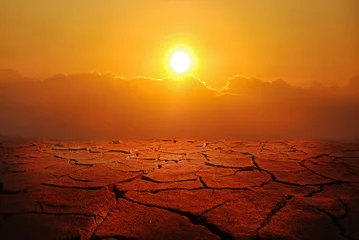 Foto op Plexiglas drought land and cracked earth landscape © njmucc