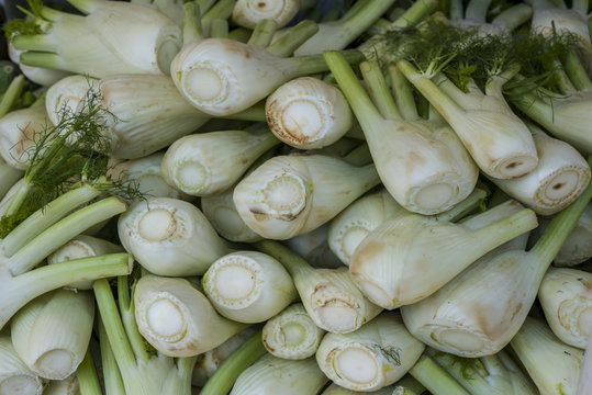 Fresh fennel vegetable on market