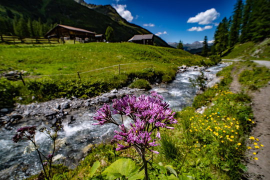 Sertig Tal in Davos - Schweiz 
