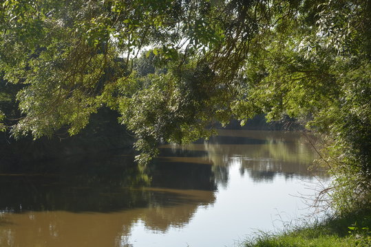 la mayenne angevine