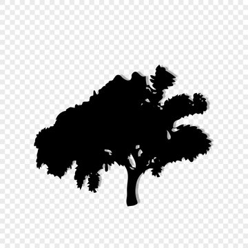 black silhouette of leafed tree isolated on transparent background.