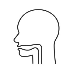 Oral cavity, pharynx and esophagus linear icon