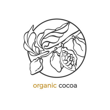 Vector sticker of cocoa tree, nature logo