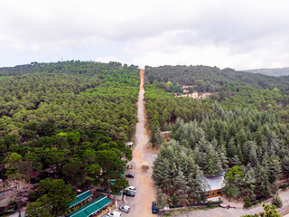Fototapeta premium Aerial Drone View of Ugur Mumcu Aydos Forest in Istanbul / Kartal