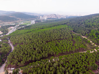 Aerial Drone View of Ugur Mumcu Aydos Forest in Istanbul / Kartal