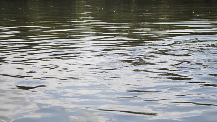 Wavy Water Surface At The Lake Background