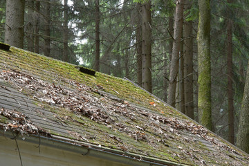 The roof of a house in a forest covered with leaves and moss.