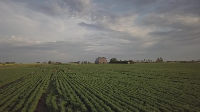 Pulse Crop Aerial, Farming