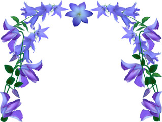 blue flowers half frame of white
