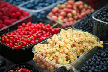 Containers with different ripe berries at market