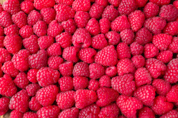 Heap of ripe aromatic raspberries
