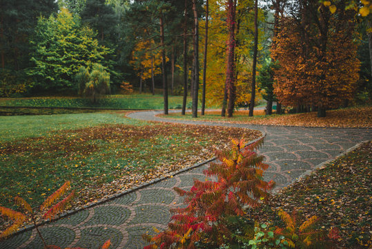 Idillic autumn landscape of park, lawn, yellow trees