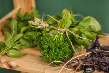 Fresh herbs on wooden shelf near color wall