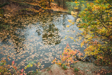 Idillic autumn landscape of park, lawn, yellow trees and lake