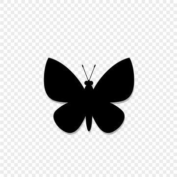 Black Silhouette Of Butterfly Isolated On Transparent Background