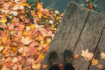 Female boots top view on autumn leaves