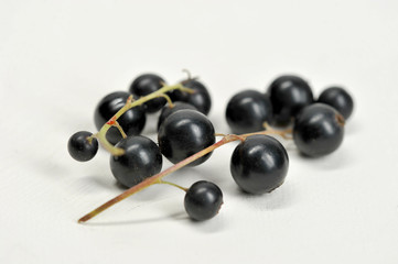 A bunch of black currant berries on a light background. Close-up. Macro 