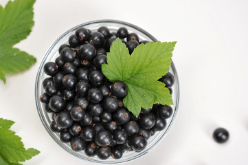 In a transparent cup of black currant berries. In the frame of leaves of black currant. Light background. Close-up. View from above. Macro photography.