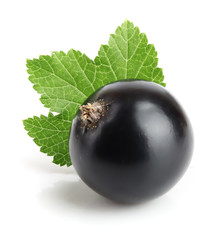 one black currant with leaf isolated on white background
