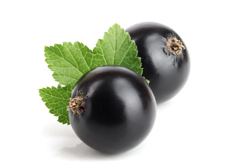 two black currant with leaf isolated on white background