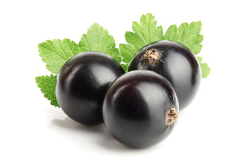 three black currant with leaf isolated on white background