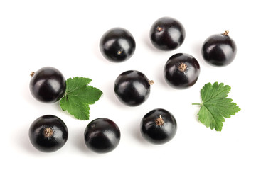 black currant with leaf isolated on white background. Top view. Flat lay pattern