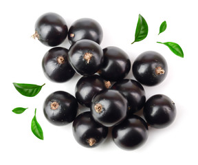 black currant with leaf isolated on white background. Top view. Flat lay pattern