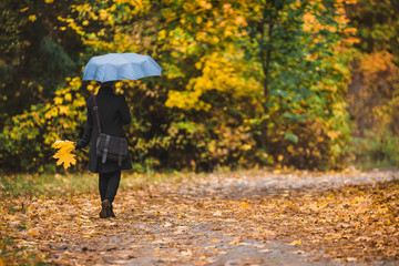 Woman under blue umbrella walks in the park in autumn © illustrissima