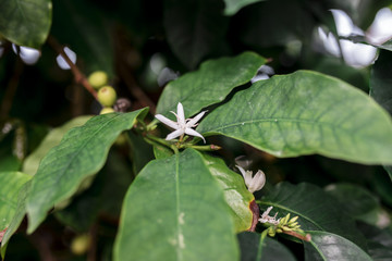 Botanischer Garten Greifswald
