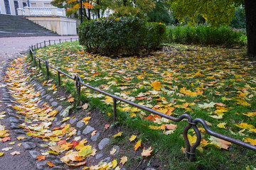 Colorful red, yellow, orange maple leaves in old drainage ditch. Multicolored foliage covering green grass and asphalt footpath. Natural background. Autumn colors in nature of Europe and America.