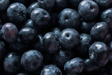 Wet fresh Blueberry background. Studio macro shot
