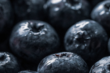 Wet fresh Blueberry background. Studio macro shot