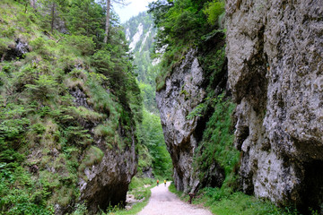 Fototapeta na wymiar Rumunia, Karpaty Rumuńskie - góry, wysokie skalne ściany Wąwózu Zarnesti