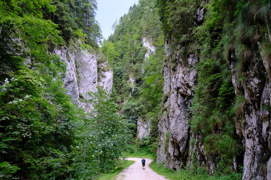 Rumunia, Karpaty Rumuńskie - g&oacute;ry, wysokie skalne ściany Wąw&oacute;zu Zarnesti