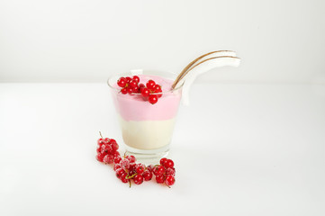 Johannisbeere Dessert