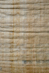 Closeup of Egyptian papyrus parchment